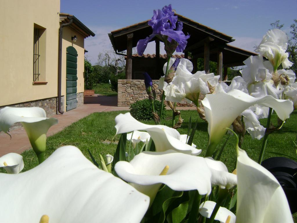 La Toscanella Castagneto Carducci Exterior foto